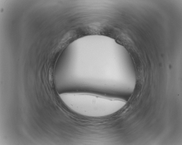 X0000065250131200602170939