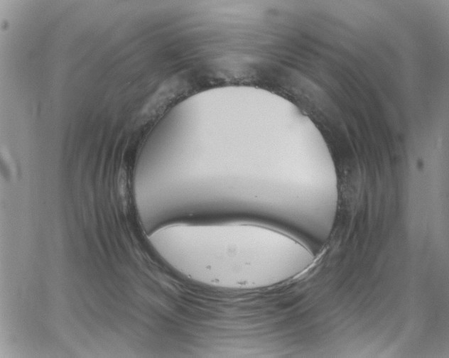 X0000065250132200602170939