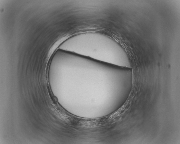 X0000065250147200602170938
