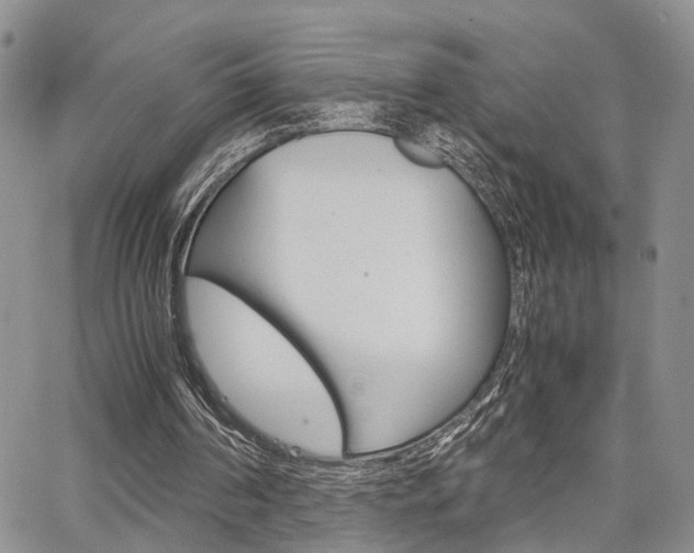 X0000065250194200602170938
