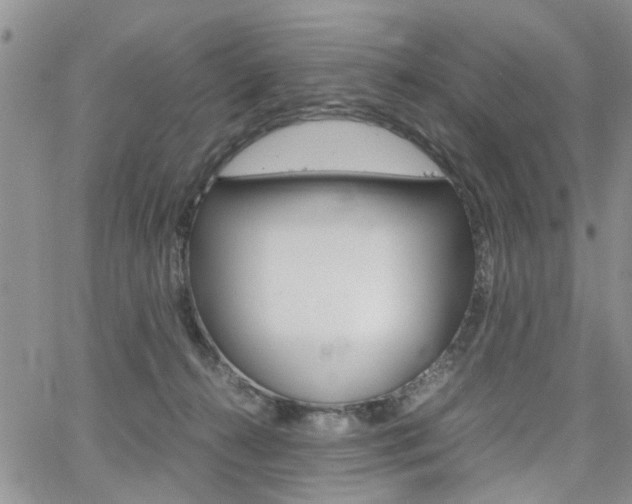 X0000065250272200602170937