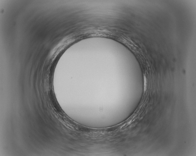 X0000065250291200602170937