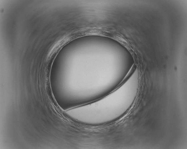 X0000065250293200602170937