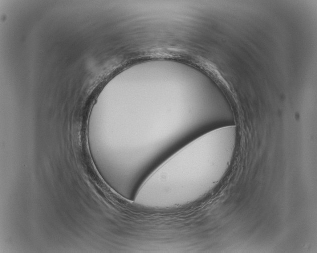 X0000065250299200602170937