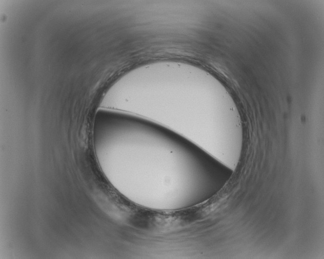 X0000065250311200602170936