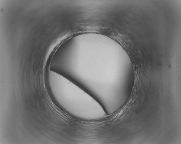 X0000065250342200602170935