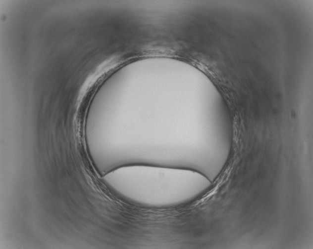 X0000065250343200602170935