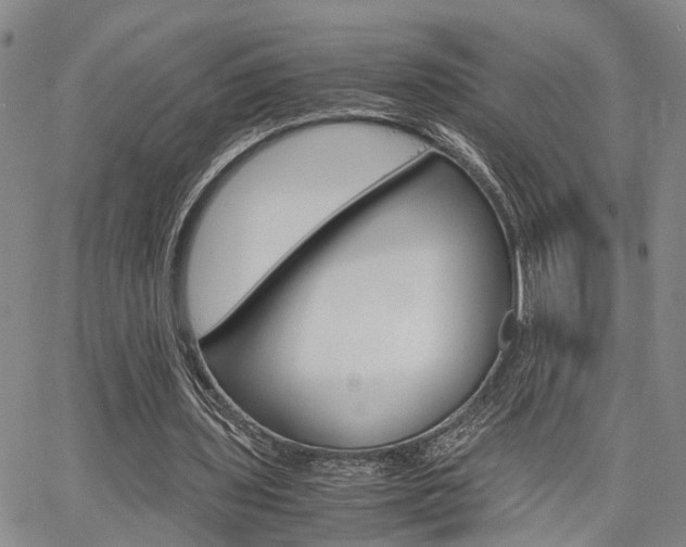 X0000065250435200602170934