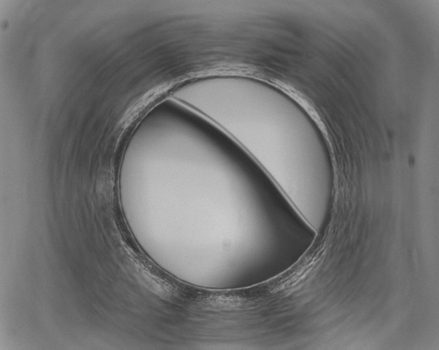X0000065250437200602170934