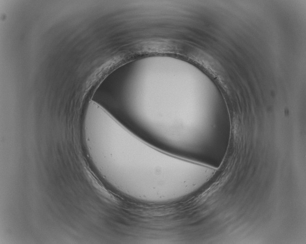 X0000065250445200602170934