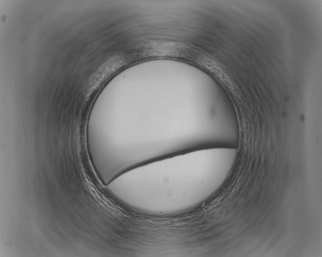 X0000065250482200602170934