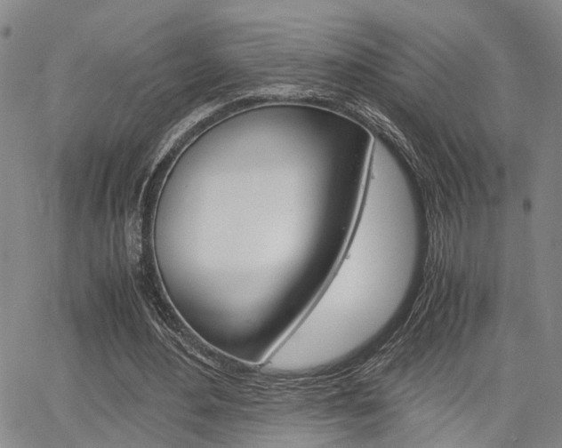 X0000065250484200602170934