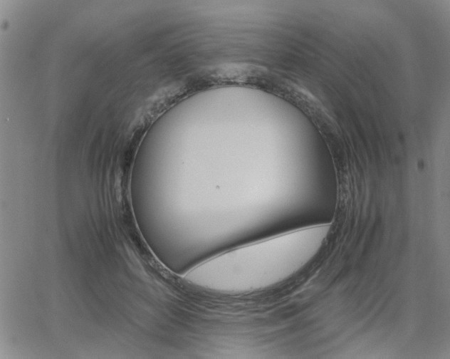 X0000065250504200602170933