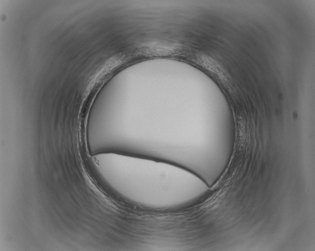 X0000065250582200602170932