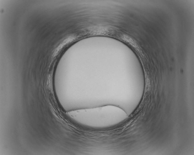 X0000065250583200602170932