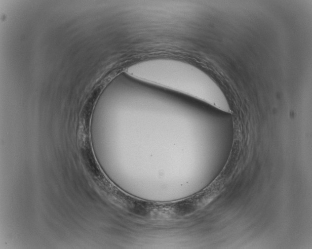 X0000065250599200602170932