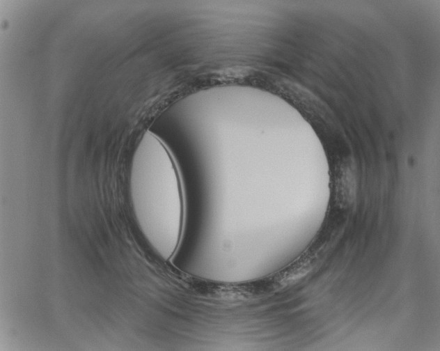 X0000065250608200602170931