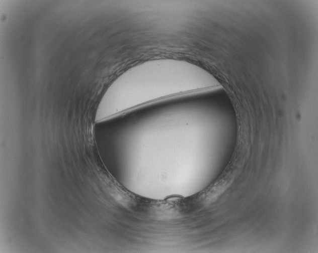 X0000065250624200602170931