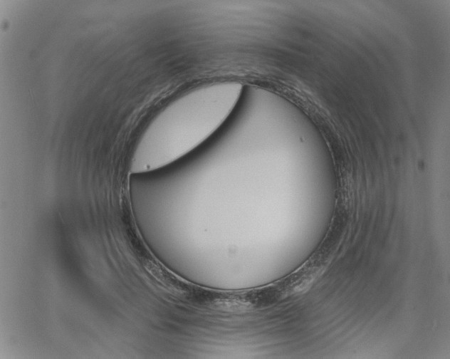 X0000065250644200602170931