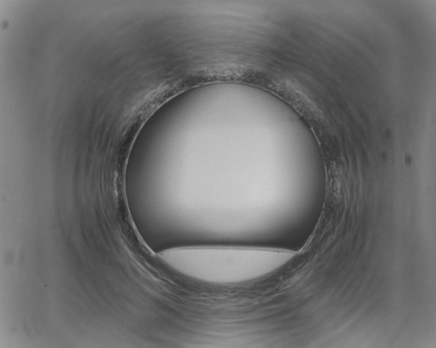 X0000065250692200602170930