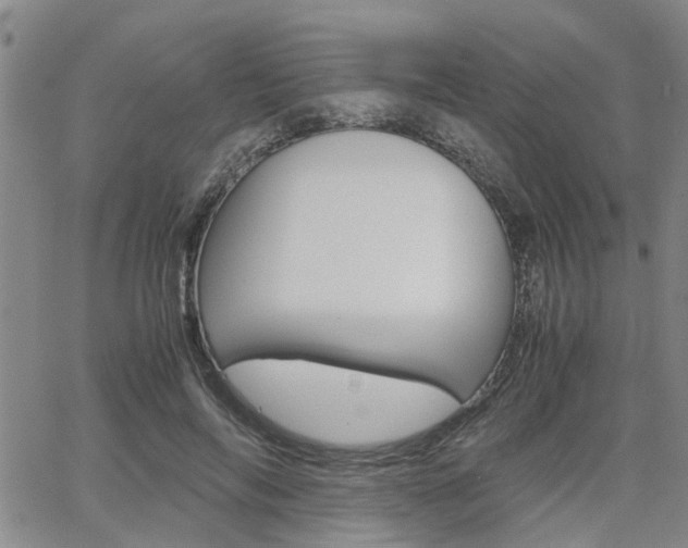 X0000065250694200602170930