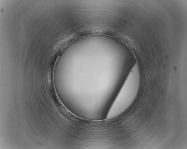 X0000065250740200602170929