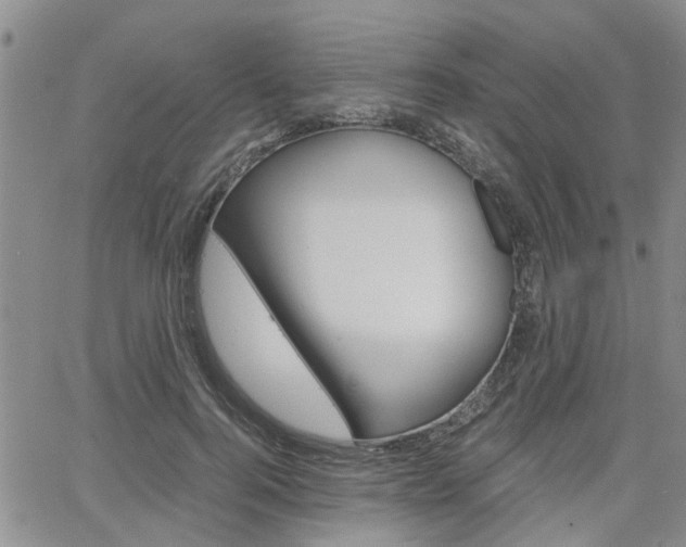 X0000065250744200602170929