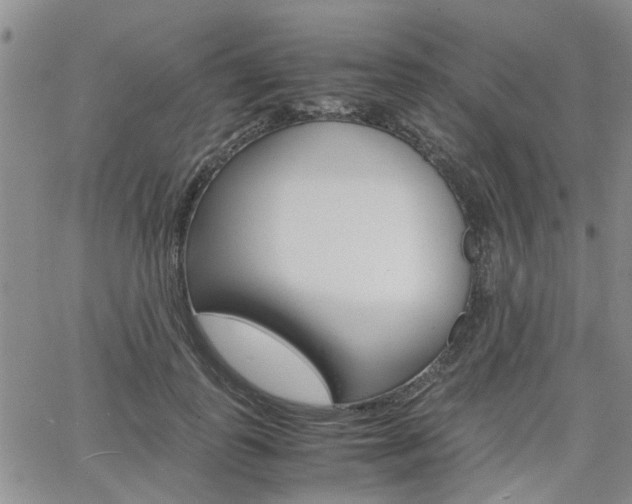 X0000065250747200602170929