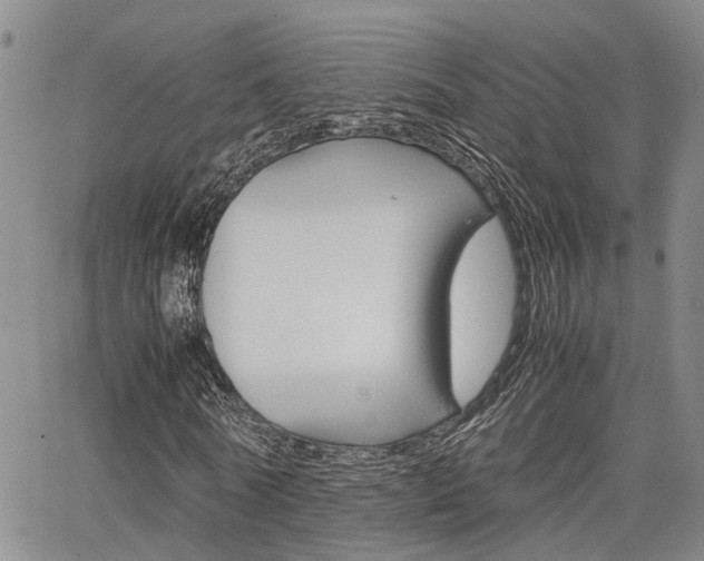 X0000065250770200602170929