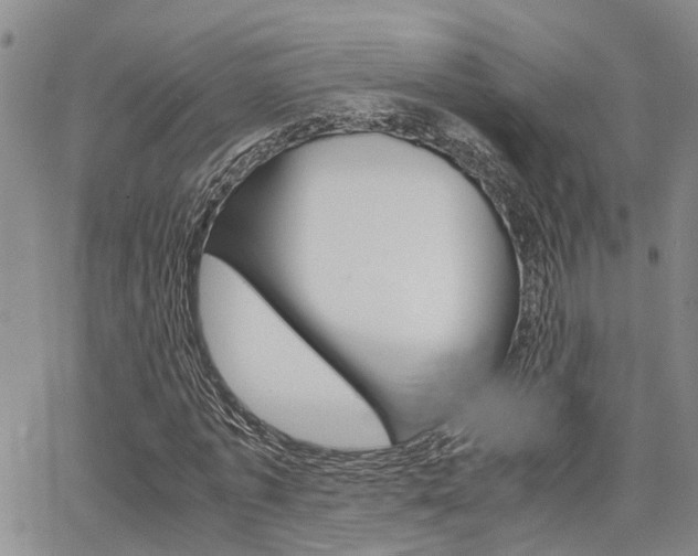 X0000065250773200602170929