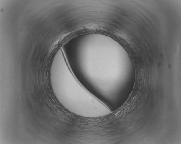 X0000065250776200602170929