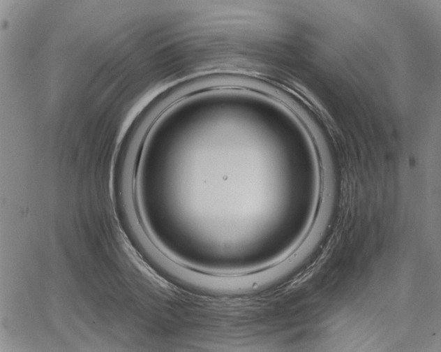 X0000065250788200602170928