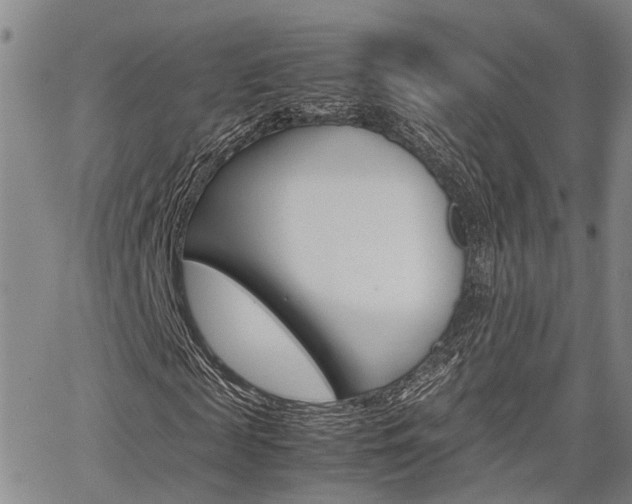 X0000065250817200602170927