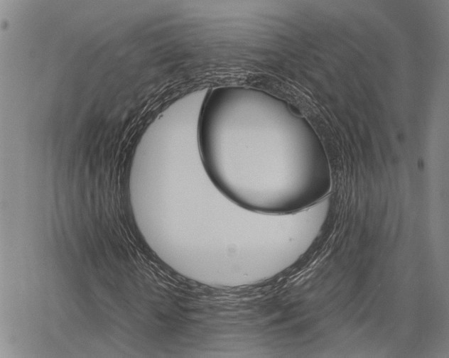 X0000065250818200602170927
