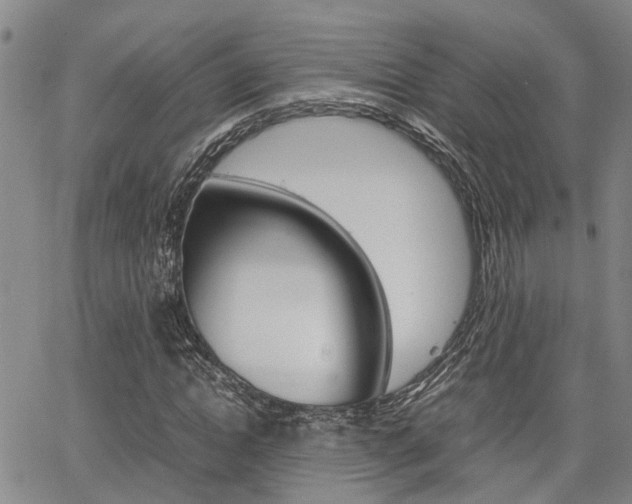 X0000065250822200602170927