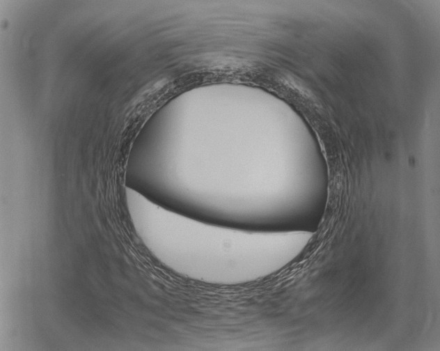 X0000065250869200602170927