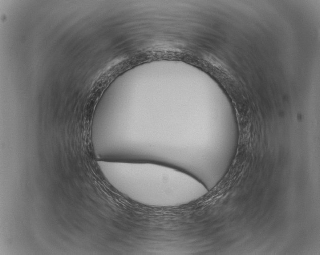 X0000065250870200602170927