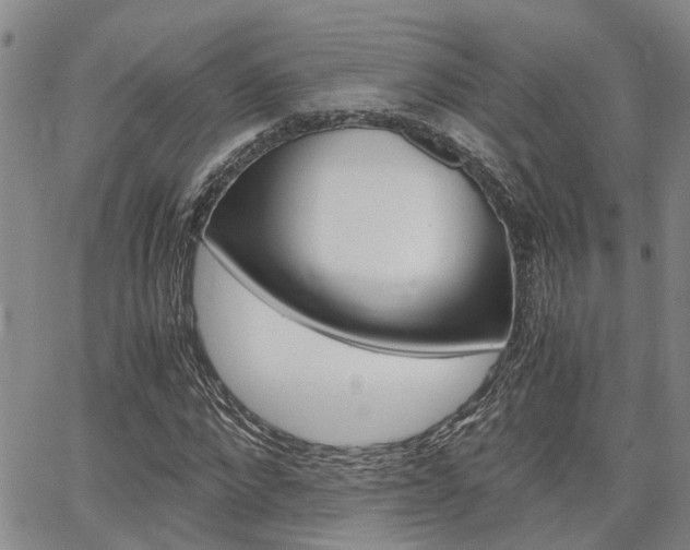X0000065250872200602170927