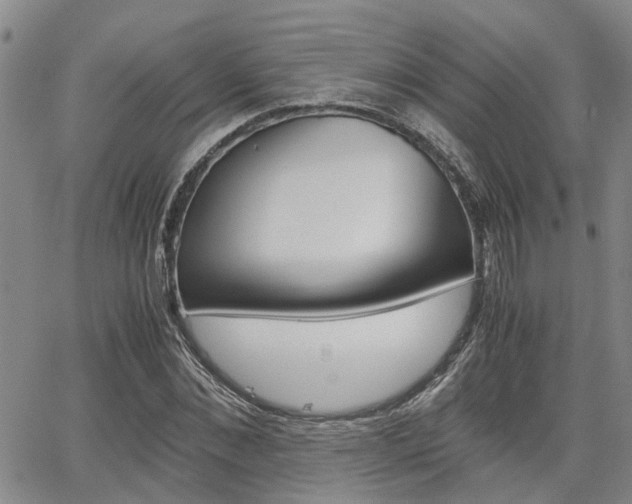 X0000065250876200602170927