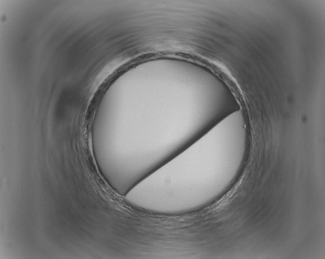 X0000065250879200602170927