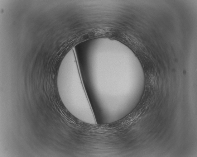 X0000065250914200602170926