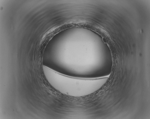 X0000065250920200602170926