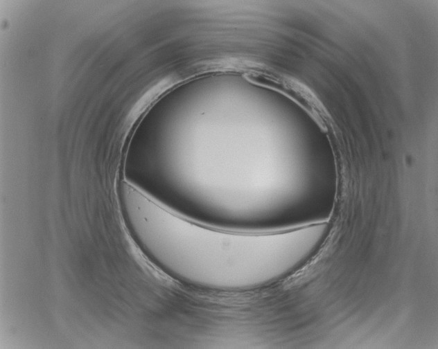 X0000065250946200602170926
