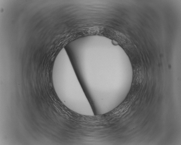 X0000065250962200602170925