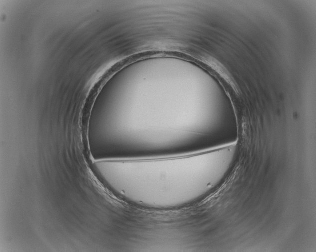 X0000065250972200602170925