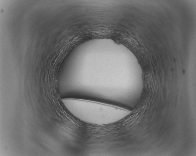 X0000065251009200602170924