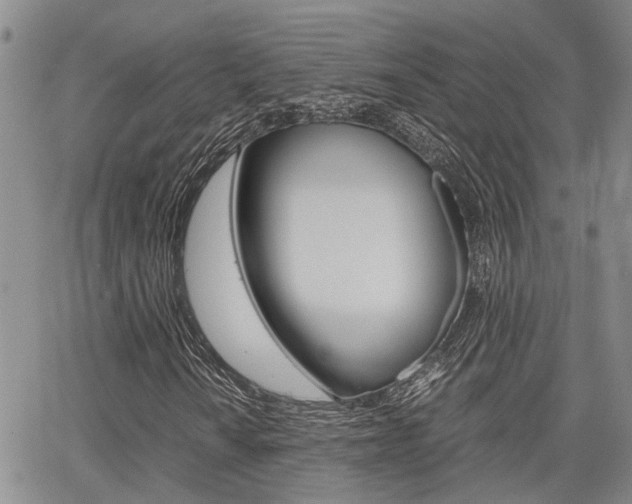 X0000065251010200602170924