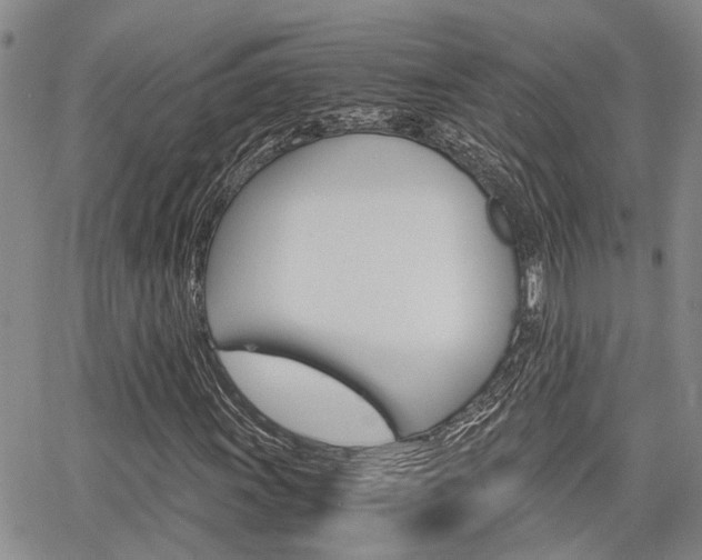 X0000065251011200602170924