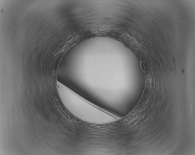 X0000065251012200602170924