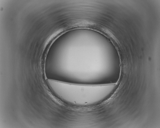 X0000065251026200602170924